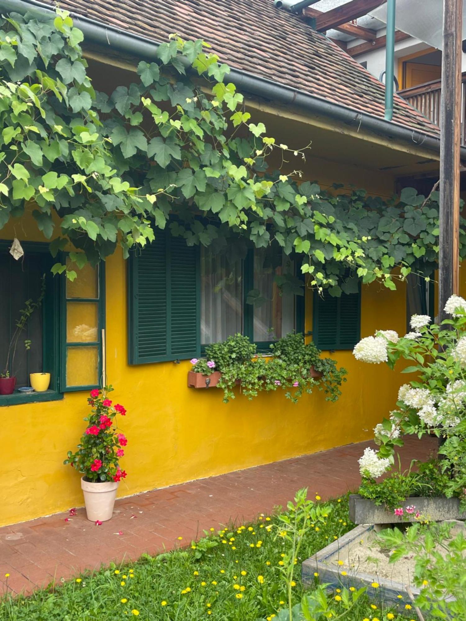 Landgasthof Zum Alten Weinstock Rudersdorf Esterno foto